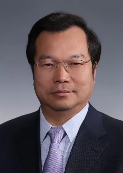 國際合成橡膠生產(chǎn)者協(xié)會2022年度綜合獎獲得者 梁愛民 教授