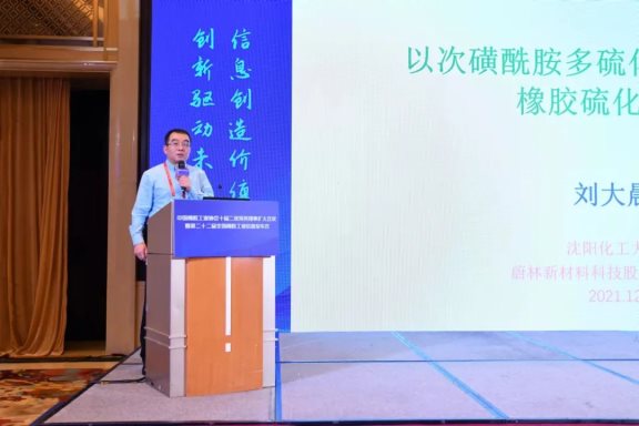 沈陽化工大學(xué)材料科學(xué)與工程學(xué)院副院長、蔚林新材料科技股份有限公司特聘專家劉大晨教授