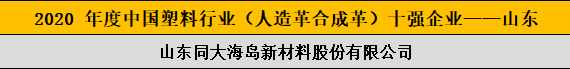 2020 年度中國塑料行業(yè)（人造革合成革）十強企業(yè)——山東