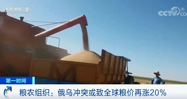 原料價格進(jìn)一步推高，飼料漲價潮重現(xiàn)
