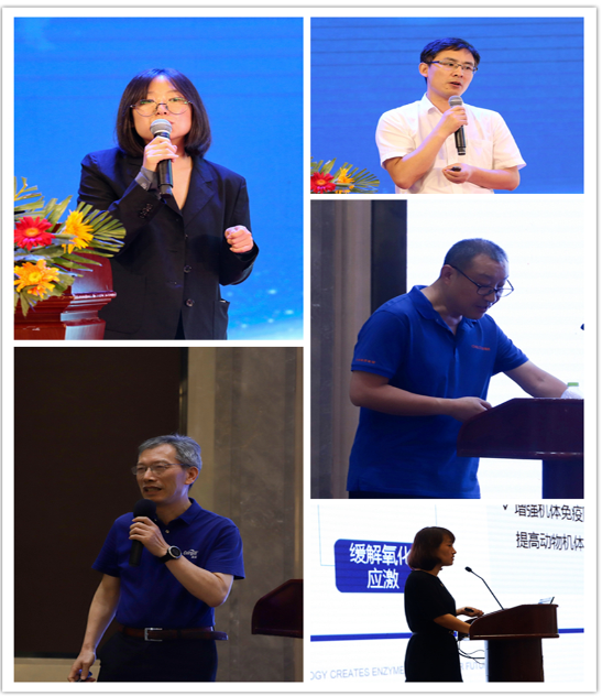 精彩紛呈的專家報告