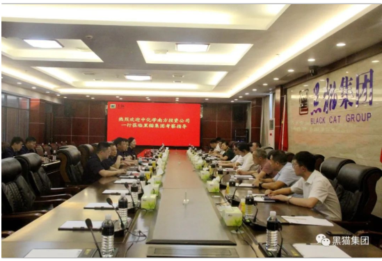 與會(huì)人員共同觀看了黑貓集團(tuán)宣傳片，并就相關(guān)問(wèn)題展開(kāi)深入交流。