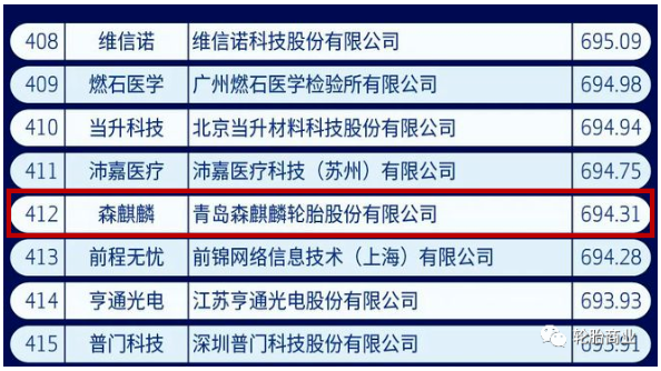 中國(guó)新經(jīng)濟(jì)500強(qiáng)，森麒麟入選