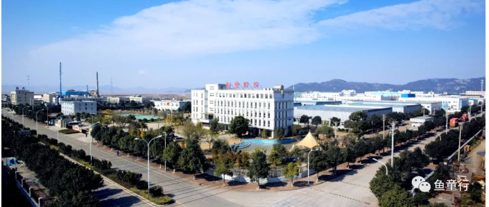 魚童入選國家級(jí)專精特新"小巨人"企業(yè)的實(shí)力吧