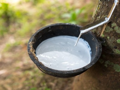 橡膠有哪些原材料？你不知道的橡膠知識