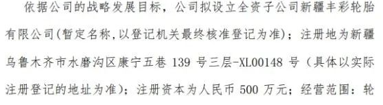 公司戰(zhàn)略發(fā)展目標 公司戰(zhàn)略發(fā)展目標