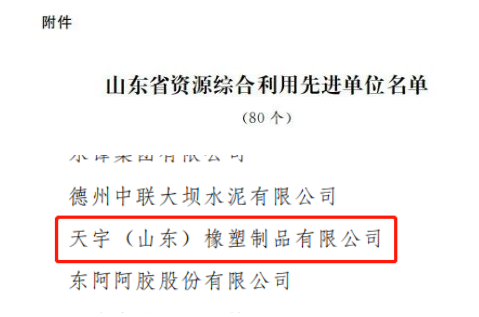 天宇(山東)橡塑制品有限公司位列其中。