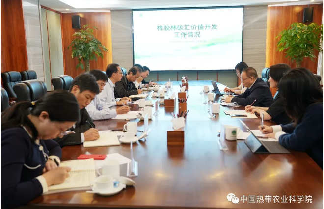 中國天然橡膠協(xié)會、國家天然橡膠產(chǎn)業(yè)技術(shù)體系?？谡窘M織開展產(chǎn)業(yè)調(diào)研