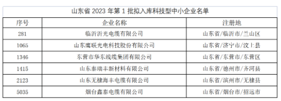 其中，東營(yíng)市華東線纜集團(tuán)有限公司、臨沂沂光電纜有限公司、山東鷹聯(lián)光電科技股份有限公司、山東泰瑞豐新材料有限公司、山東無(wú)棣海豐電纜有限公司、煙臺(tái)鑫泰電纜有限公司等多家電線電纜企業(yè)進(jìn)入山東省2023年第1批擬入庫(kù)科技型中小企業(yè)名單。