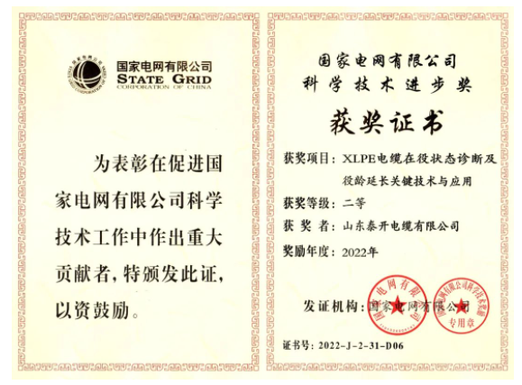 山東泰開(kāi)電纜有限公司憑借其“XLPE電纜在役狀態(tài)診斷及役齡延長(zhǎng)關(guān)鍵技術(shù)與應(yīng)用”項(xiàng)目，獲得了國(guó)家電網(wǎng)有限公司的“科學(xué)技術(shù)進(jìn)步獎(jiǎng)”，這是對(duì)該公司近年來(lái)高質(zhì)量發(fā)展的充分肯定。