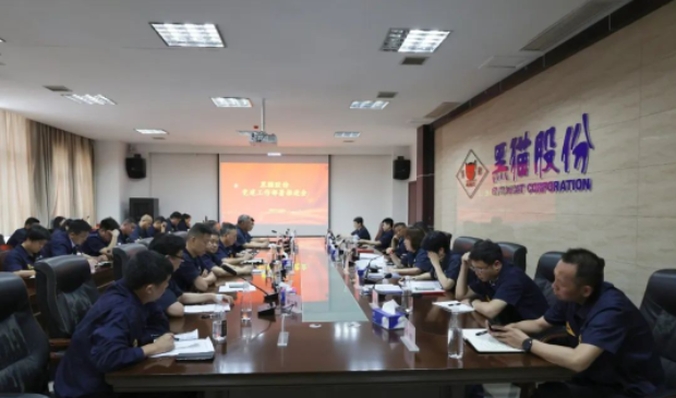 黑貓股份召開了基層黨建工作部署推進會，旨在進一步強化黨對公司及各單位發(fā)展的引領作用。黑貓股份黨委副書記、董事長、總經理魏明以及黨政領導班子成員出席了會議，會議由公司黨委專職副書記周芝凝主持。