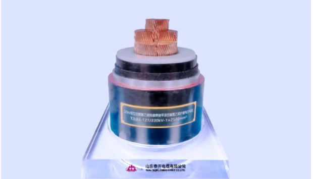 展望未來，泰開電纜表示將繼續(xù)發(fā)揮科研平臺在關鍵技術攻關、科技成果轉化、創(chuàng)新人才培養(yǎng)、產學研協同發(fā)展等方面的重要作用，力爭實現新產品、新技術、新工藝方面的再突破，助力行業(yè)和產業(yè)鏈的協同發(fā)展!