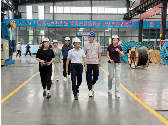 華東電纜表示下半年將集中精力提高產(chǎn)品質(zhì)量，強化風(fēng)險防控，積極應(yīng)對市場訂單，全力以赴，確保完成全年經(jīng)營發(fā)展目標(biāo)任務(wù)，進(jìn)一步推動經(jīng)濟實現(xiàn)有效提升和合理增長。