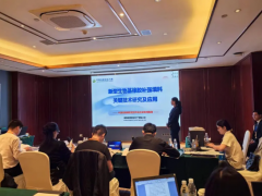 突破！湖南橡塑新型填料實(shí)現(xiàn)60%以上炭黑替代