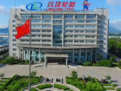玲瓏集團(tuán)總裁王琳詳述：企業(yè)如何應(yīng)對(duì)全球挑戰(zhàn)與機(jī)遇