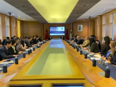 大業(yè)股份海外建廠提速，鄭洪霞摩洛哥深入調(diào)研