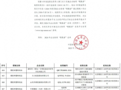 雙錢輪胎榮獲2024年企業(yè)標(biāo)準(zhǔn)“領(lǐng)跑者”稱號