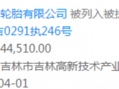 箭達天下（吉林）輪胎有限公司列入被執(zhí)行人
